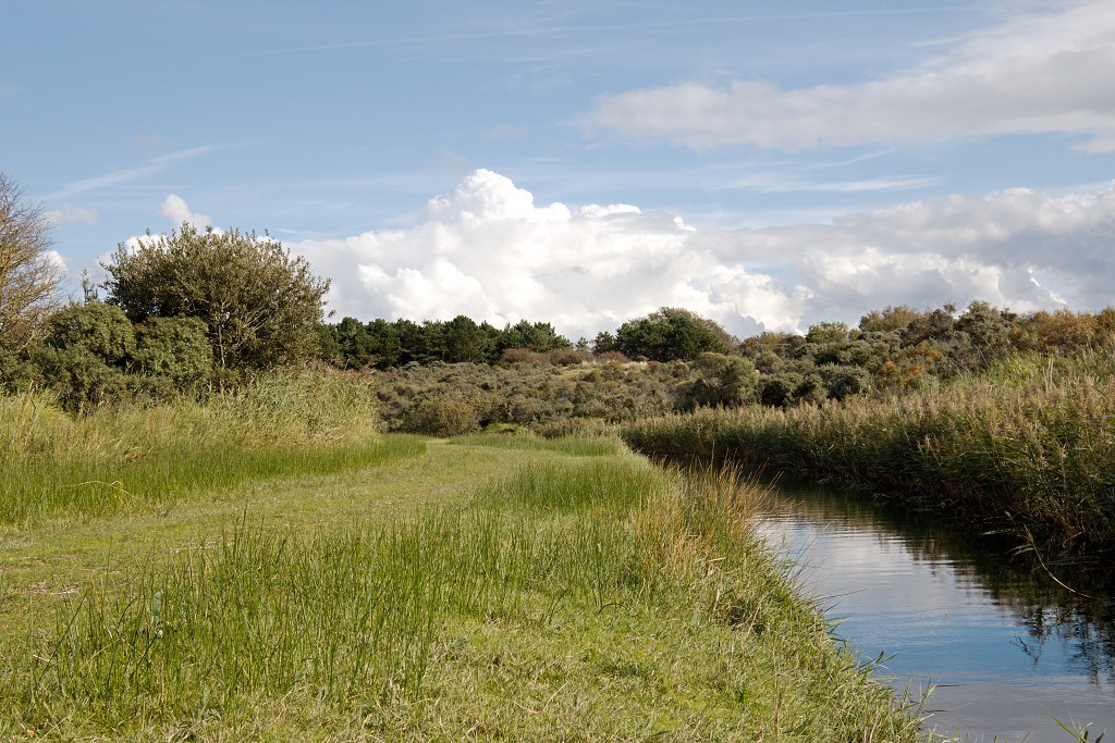AWD Amsterdamse Waterleidingduinen natuurgebied polder bos vos hert herten damhert duinen zandvoort waterwingebied